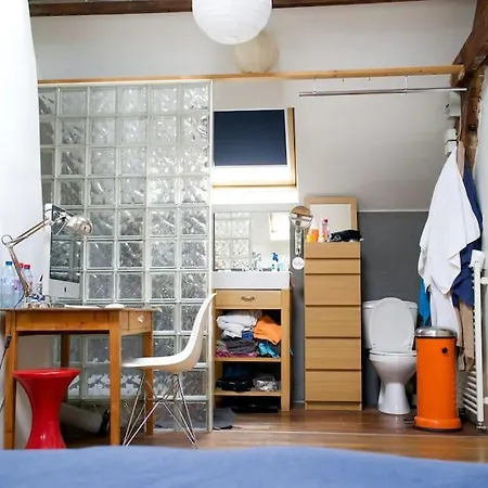 别墅 Nice House With Garden Inside